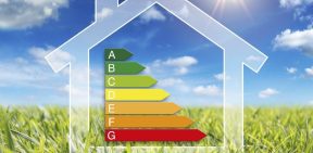 edf-partenariat-illustrationecologie